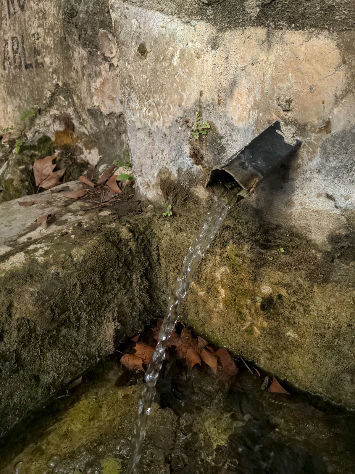 Fuente natural con agua corriente en propiedad rural Valencia