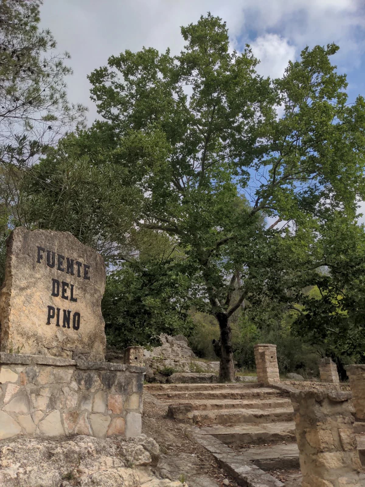 Fuente del Pino en venta