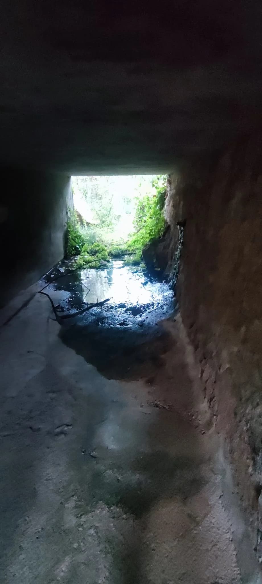 Barranco natural de la propiedad