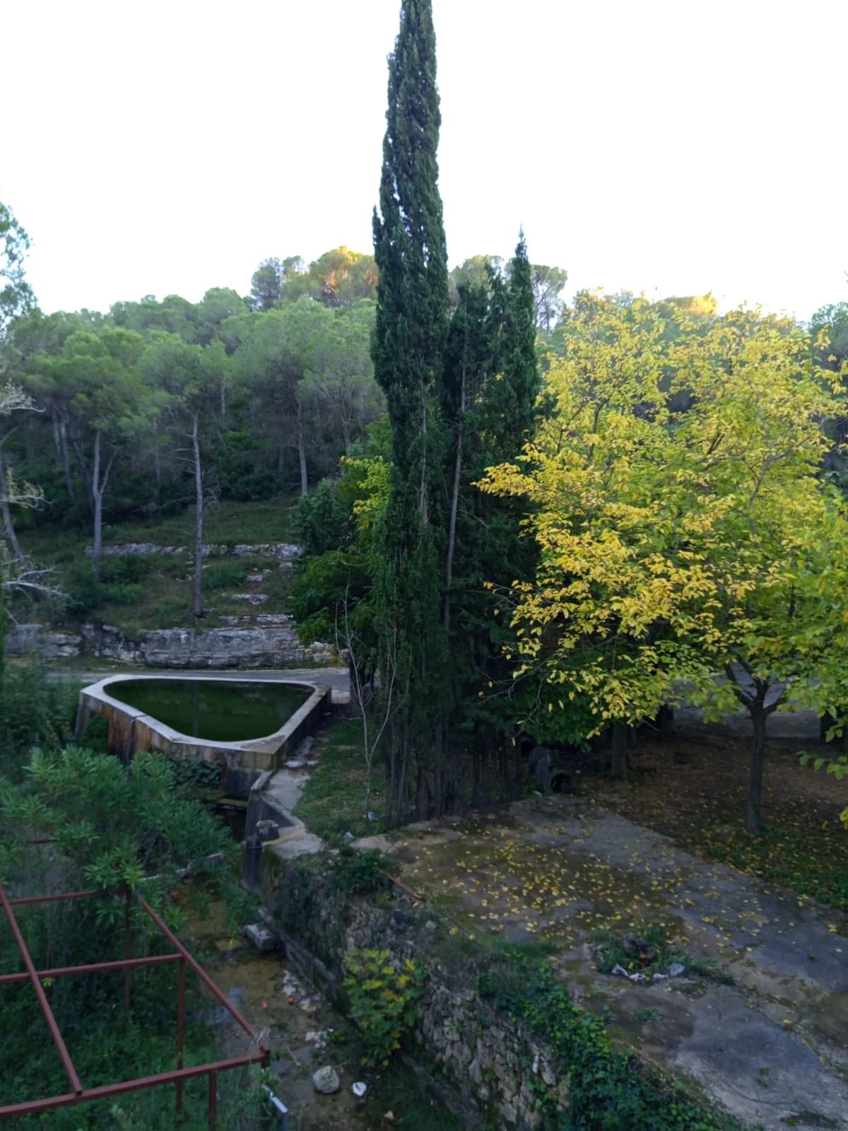 Vistas panorámicas espectaculares desde la finca con ciprés centenario